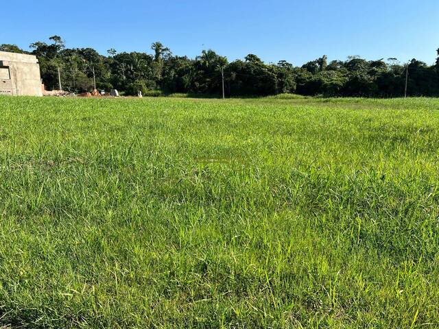 Terreno em condomínio para Venda em Peruíbe - 5