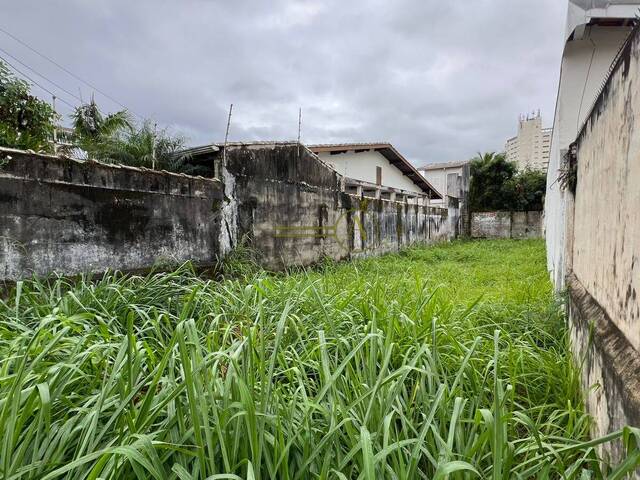 Terreno para Venda em Peruíbe - 5