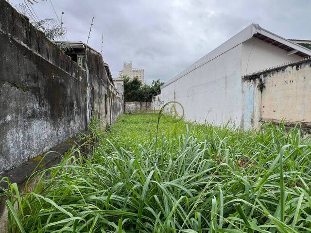 Terreno para Venda em Peruíbe - 4