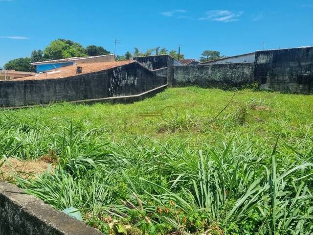 #117 - Terreno para Venda em Peruíbe - SP