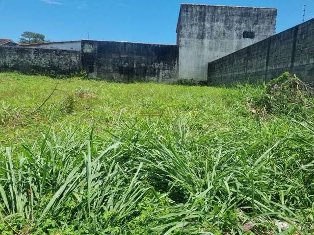 Terreno para Venda em Peruíbe - 4