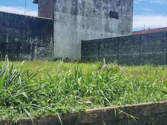 Terreno para Venda em Peruíbe - 5