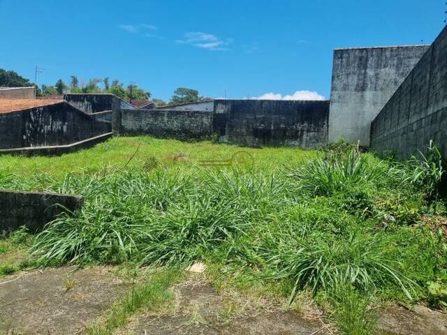 #117 - Terreno para Venda em Peruíbe - SP