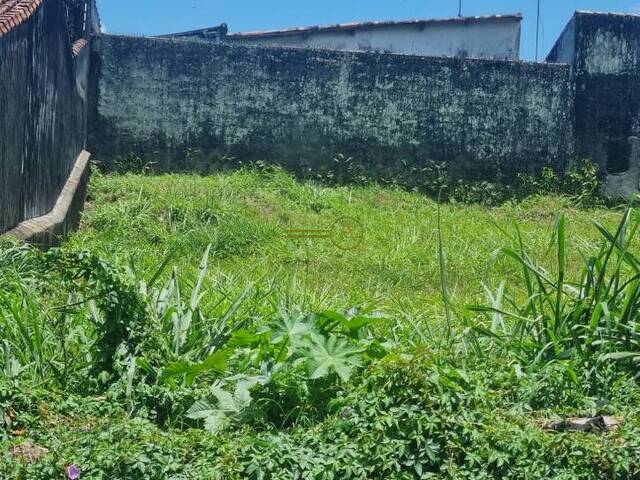 #116 - Terreno para Venda em Peruíbe - SP