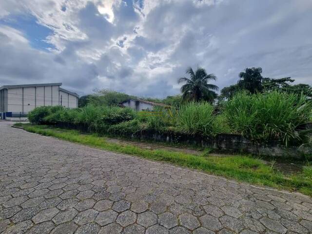 #109 - Terreno para Venda em Peruíbe - SP