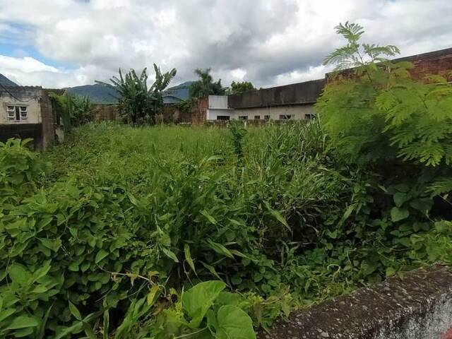 #17 - Terreno para Venda em Peruíbe - SP