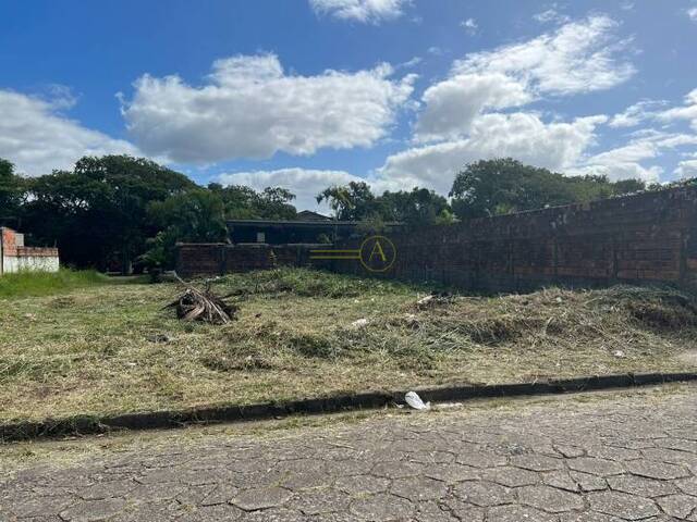 #16 - Terreno para Venda em Peruíbe - SP
