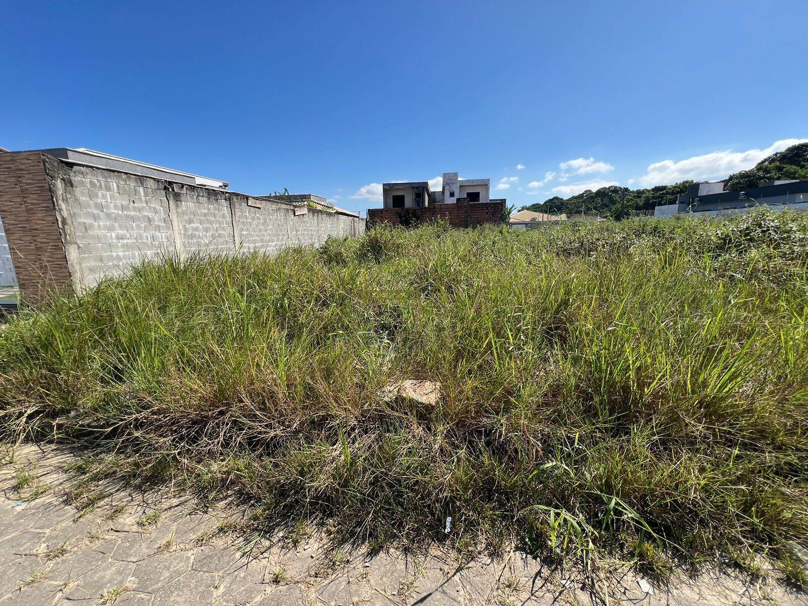 Terreno, 300 m² - Foto 3