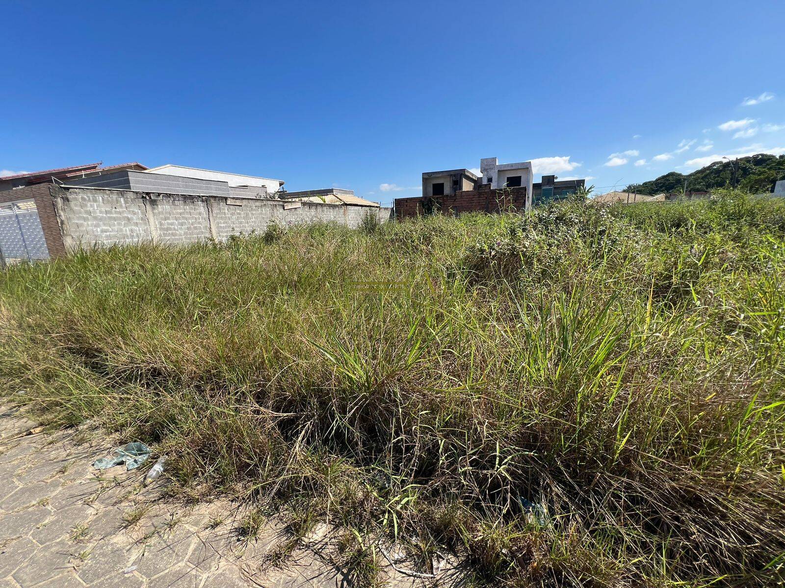 Terreno, 300 m² - Foto 4