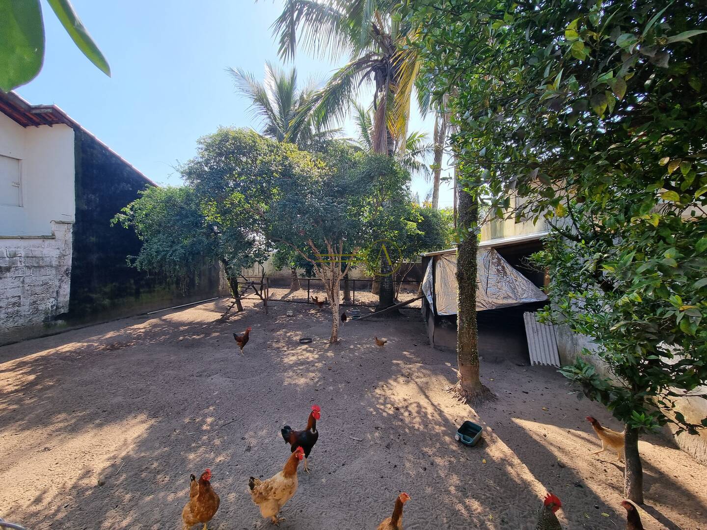 Casa, 7 quartos, 529 m² - Foto 48