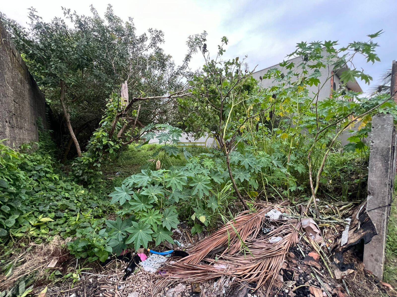 Terreno, 555 m² - Foto 3