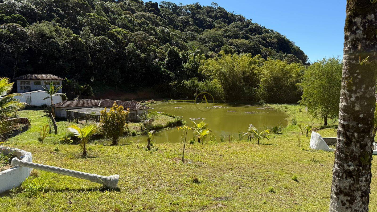 Casa à venda com 3 quartos, 900m² - Foto 35
