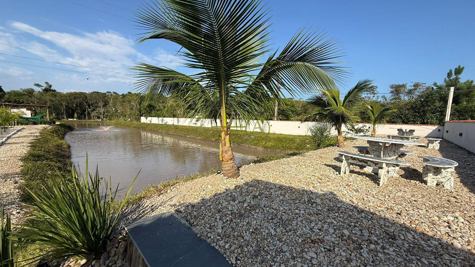 Sítio, 9 quartos, 3 hectares - Foto 32