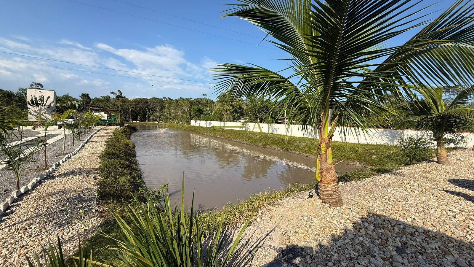 Sítio, 9 quartos, 3 hectares - Foto 37