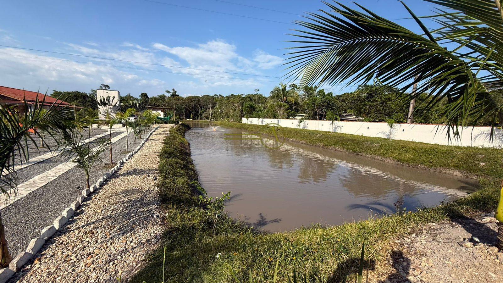 Sítio, 9 quartos, 3 hectares - Foto 39