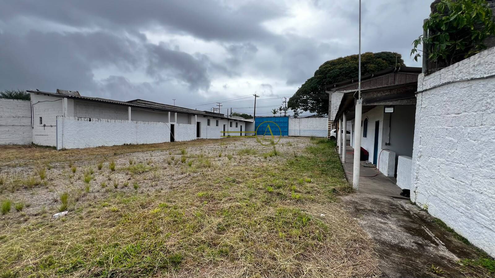 Terreno, 6000 m² - Foto 13