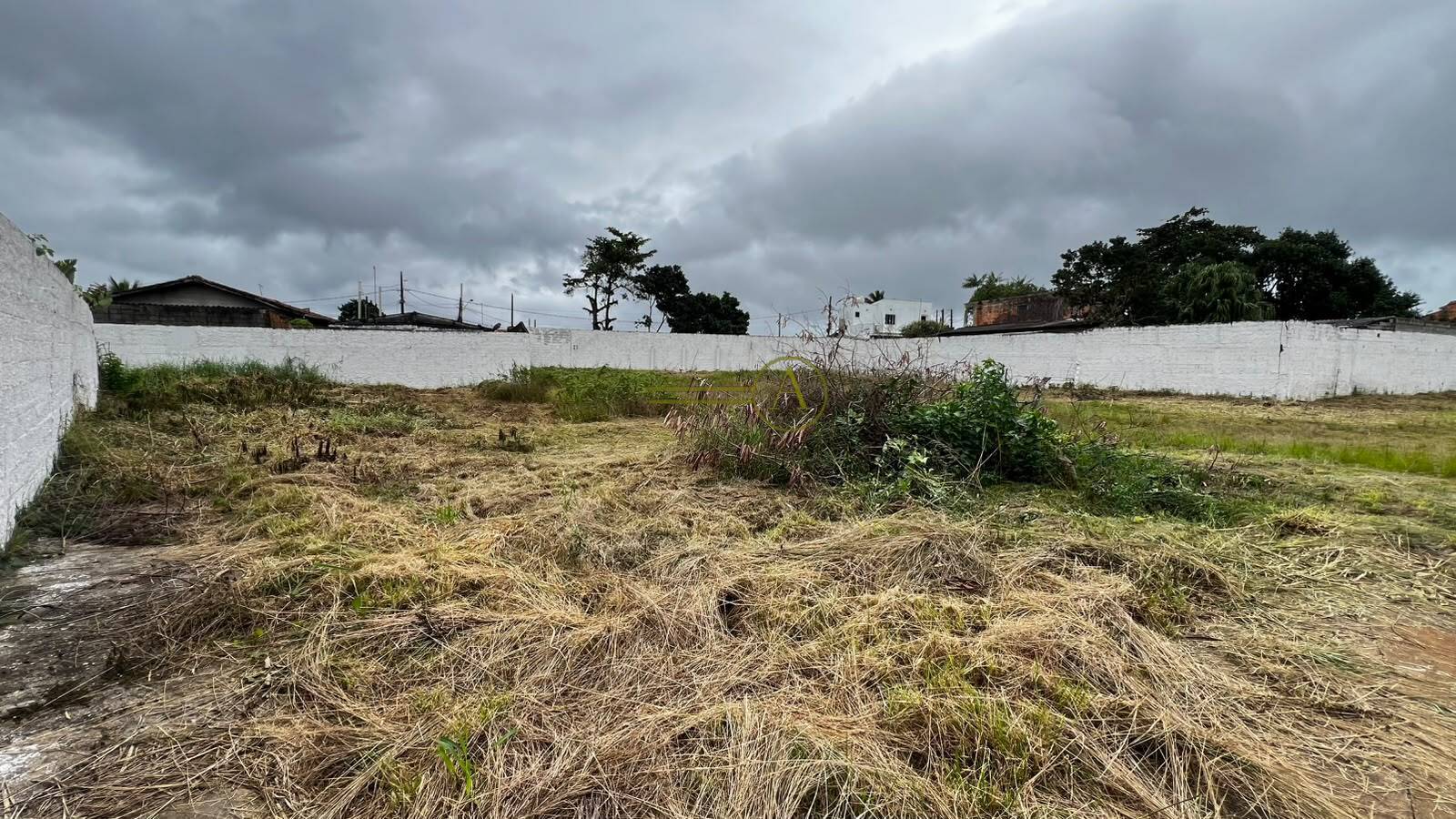 Terreno, 6000 m² - Foto 17