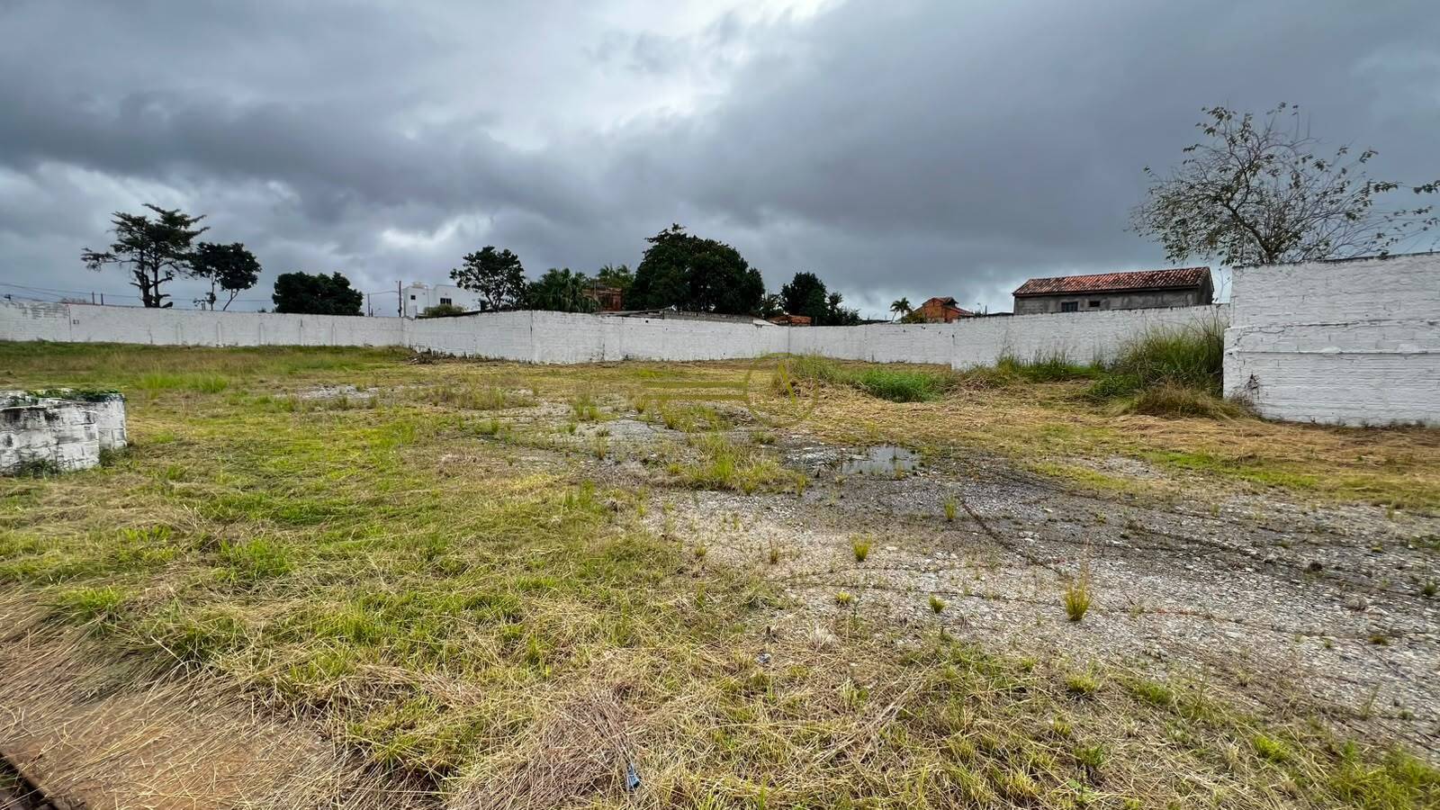 Terreno, 6000 m² - Foto 23