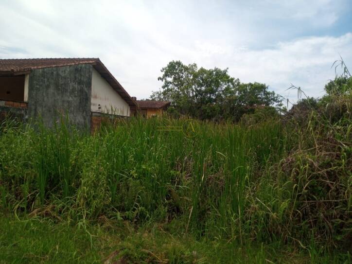 Terreno, 318 m² - Foto 4