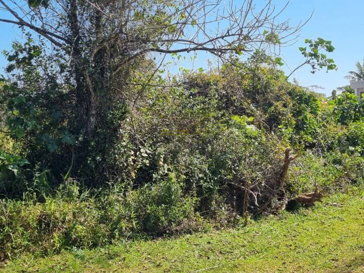 Casa, 1 quarto, 1070 m² - Foto 7