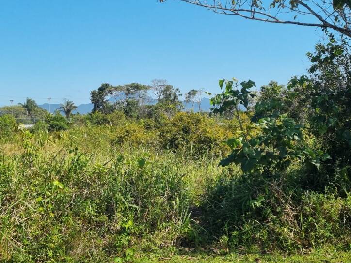 Casa, 1 quarto, 1070 m² - Foto 6