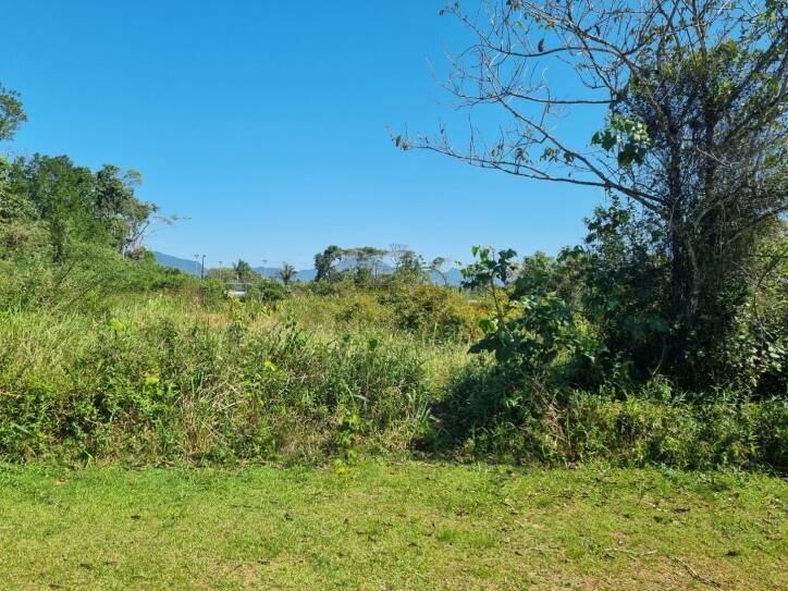 Casa, 1 quarto, 1070 m² - Foto 10