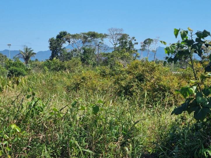 Casa, 1 quarto, 1070 m² - Foto 9