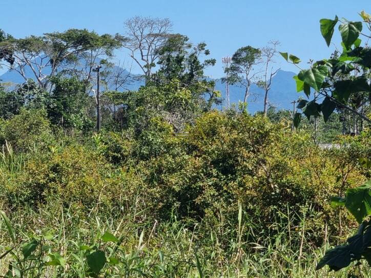 Casa, 1 quarto, 1070 m² - Foto 8