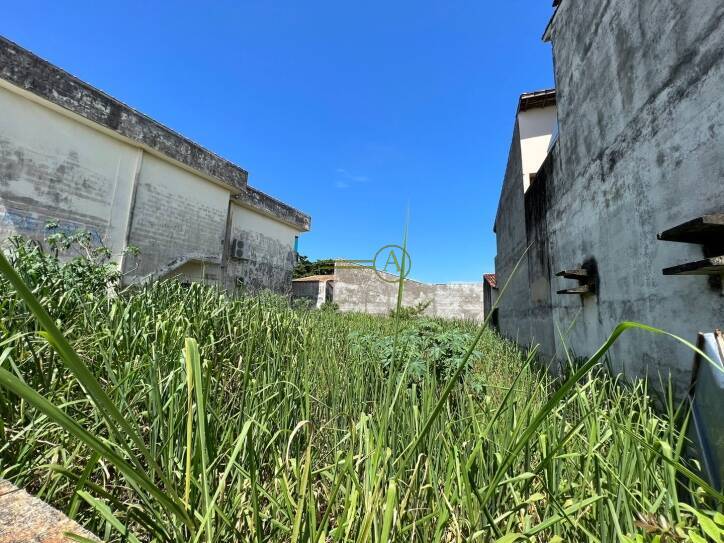 Terreno, 366 m² - Foto 3